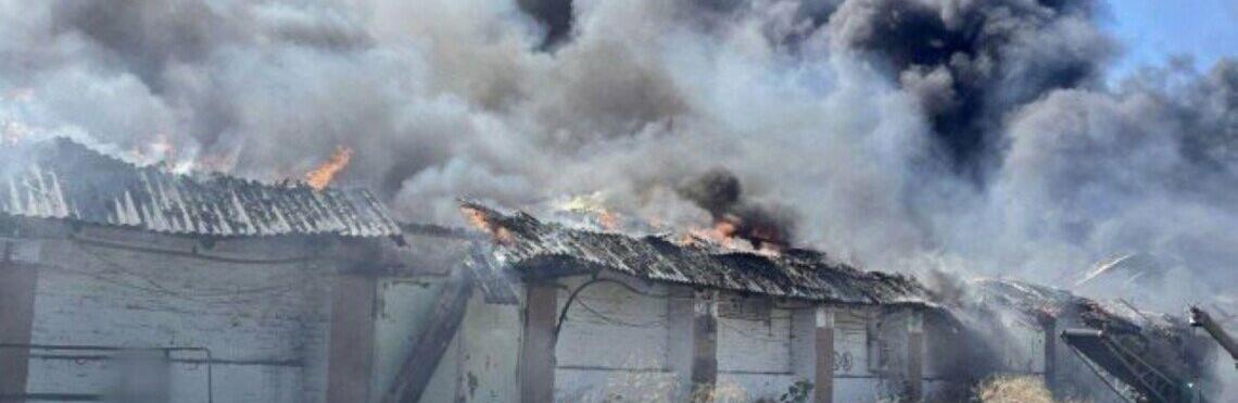  ������� �������� ���� ���� ��������� ��������� ����� 