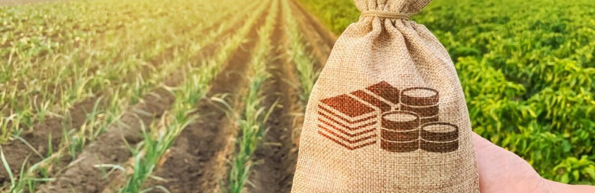 ����: 061.ua