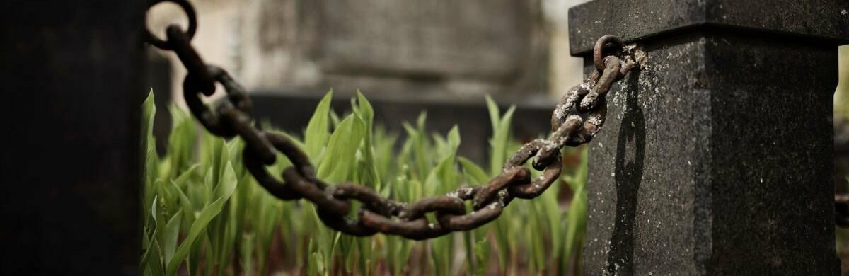 ����: 061.ua