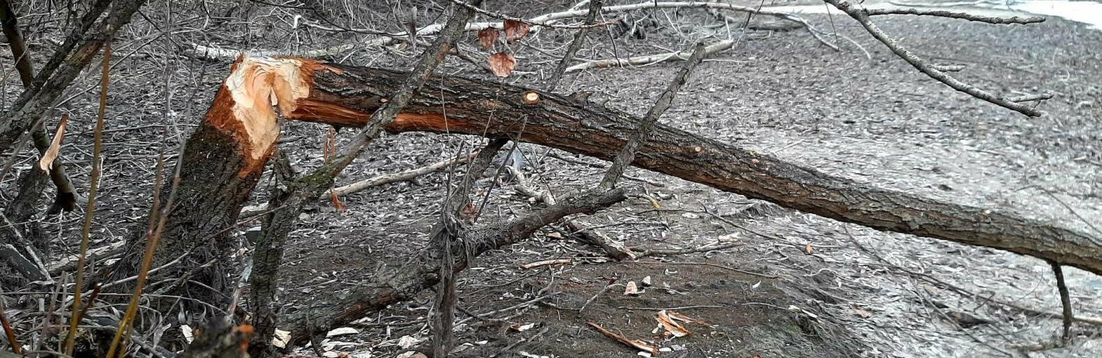 ����: 061.ua