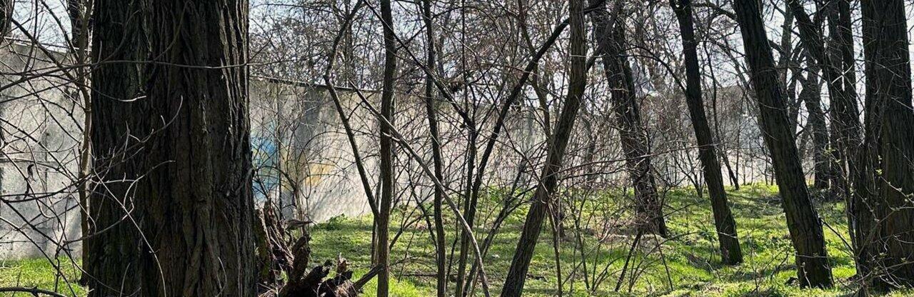  ����������� ������ ����� ���������� ������ ���� ��������� �������� 