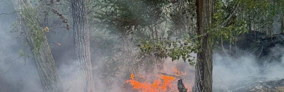  ��������� ������ ������������ ������ ������ ����������� 