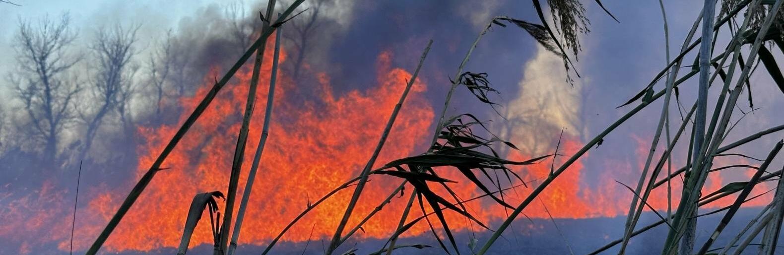 ����: 061.ua