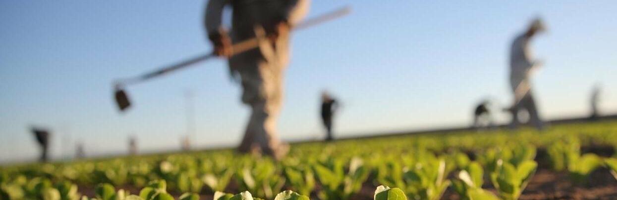  ��������� ������� ���������� ����� 200 ������� ���� ����������� 