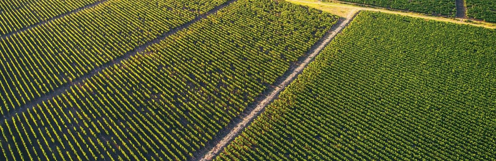 ����: 061.ua