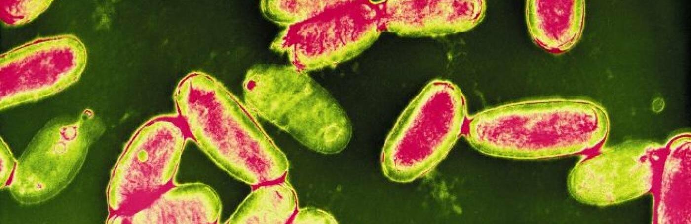 ����: 061.ua