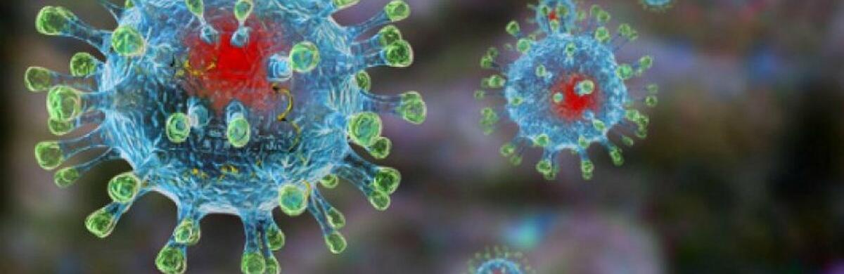  ��������� ������ ������������ ������ �� ����������� 