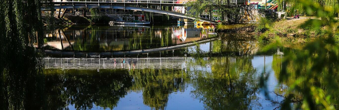  ������� �������� �������� ������������ ����� ���� ��������� 182 