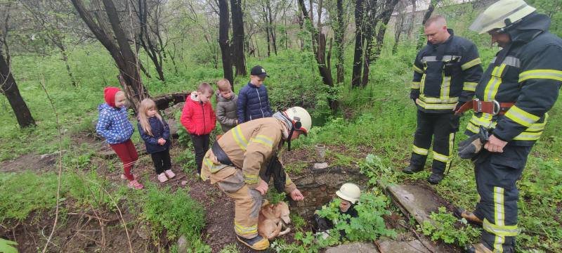  ������� ������������ ������� ������ �������������� �������� 