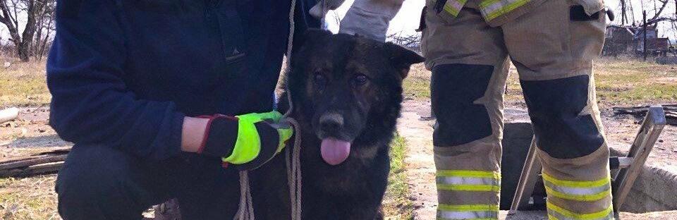  ������� ���������� ���� ��������� ��� ���� ������� ����� 