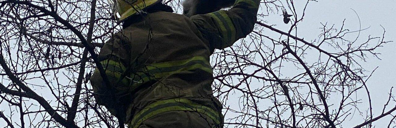 ����: 061.ua