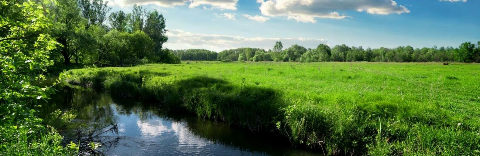  ������� ����������� ��� ���� ������� �������� �������� ������ 