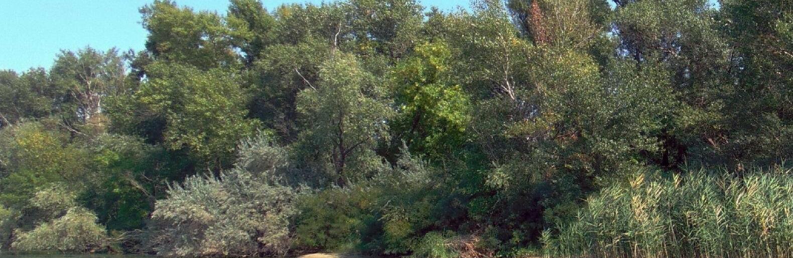  ����������� ������ �������� ������ �������� ������ 