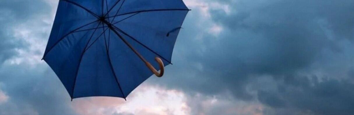  ��������� ������������ ������ ������ ���� ������� 