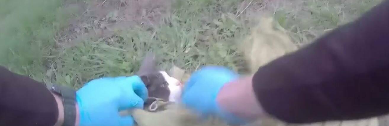 ����: 061.ua