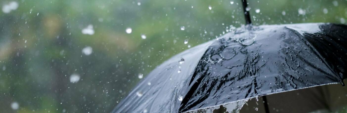  ������� ��������� ������ ��������� ������������ ����� ������� ���� 