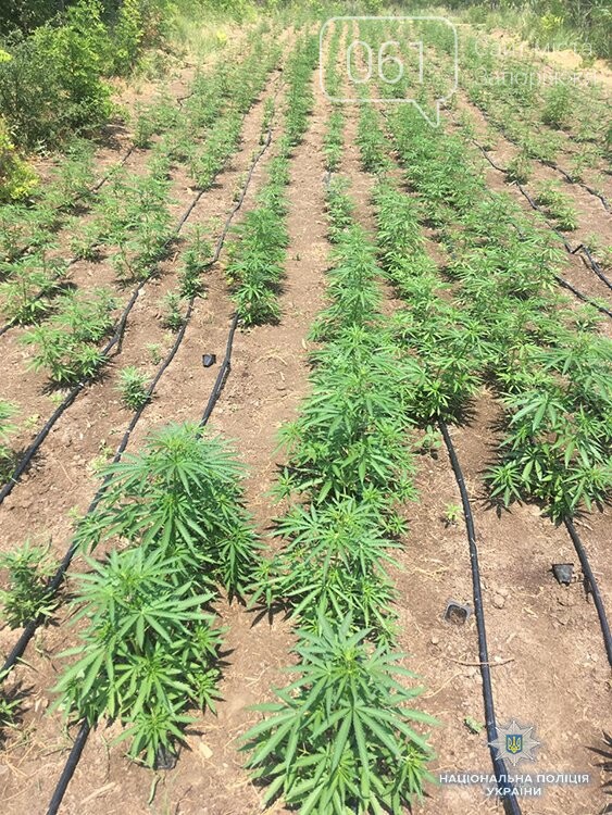 ����: 061.ua