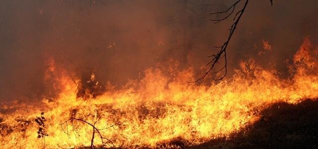  ����������� ������� ��������� ������� ����� ������ ���������� 