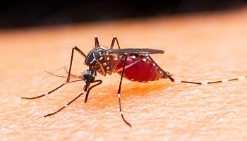  ������� ��������� ��������� ������� ����������� ������ ������� ����� 