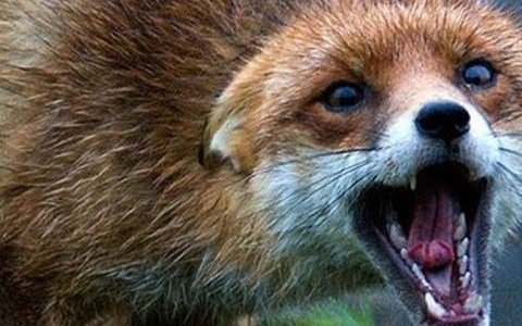  ���� ������� ������� ������� ��������� ��� 