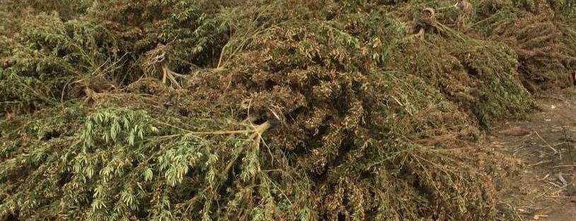  �������� ����� ������������ ������ ������� ����� ������� ����������� 