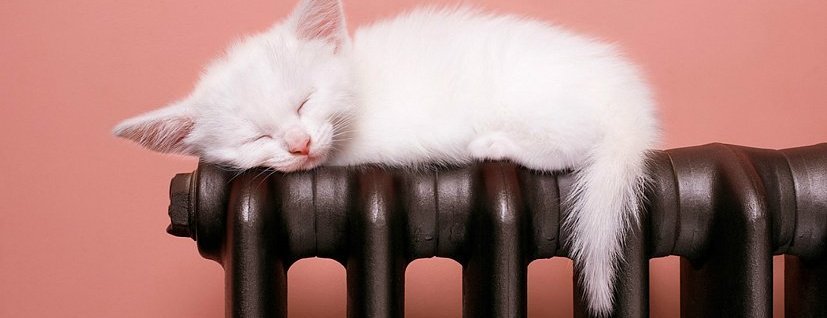  ����������� ������� ������� ������� ������������ ����� 