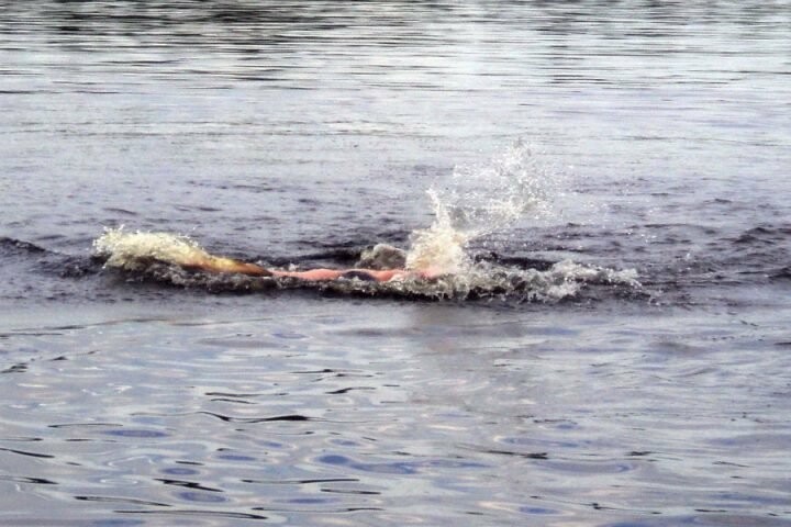 ����: 061.ua