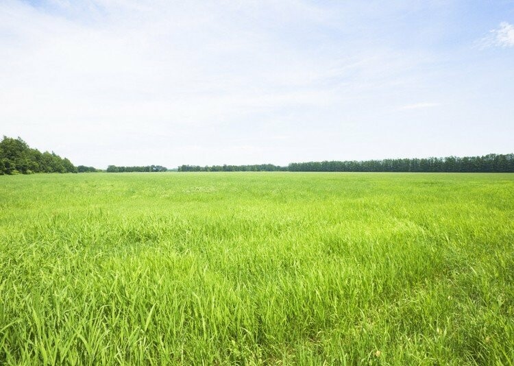  ����������� ������� ������������� ����������� ������� ������ ���������� ��������� 