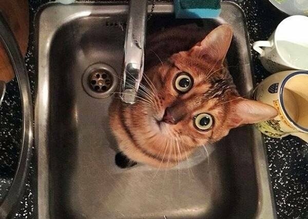  ������ ������������ ����������� �������� ��������� ���� 