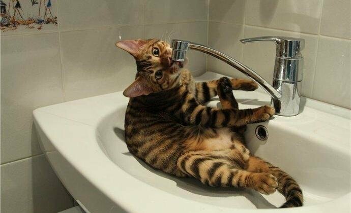  ������ ������� ��������� �������� ��������� �������� ���� 