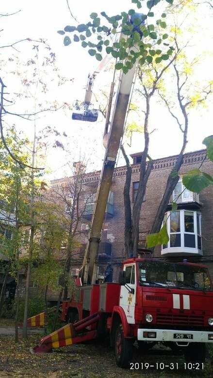  ������ ��������� 15-�������� ����� ���� ��������� ����� ���������������� 