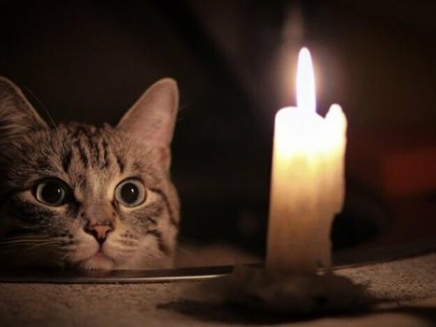  ��������� ����������� ��������� ����� ����� �������� ����� ������� 