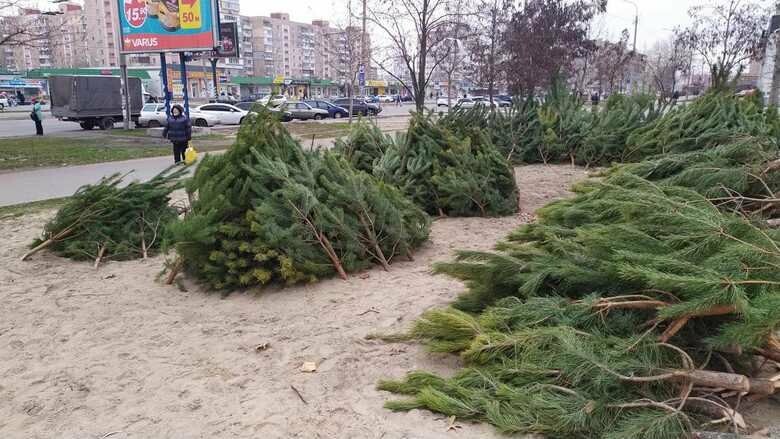  ��������� ��������� �������� ��������� ���� 