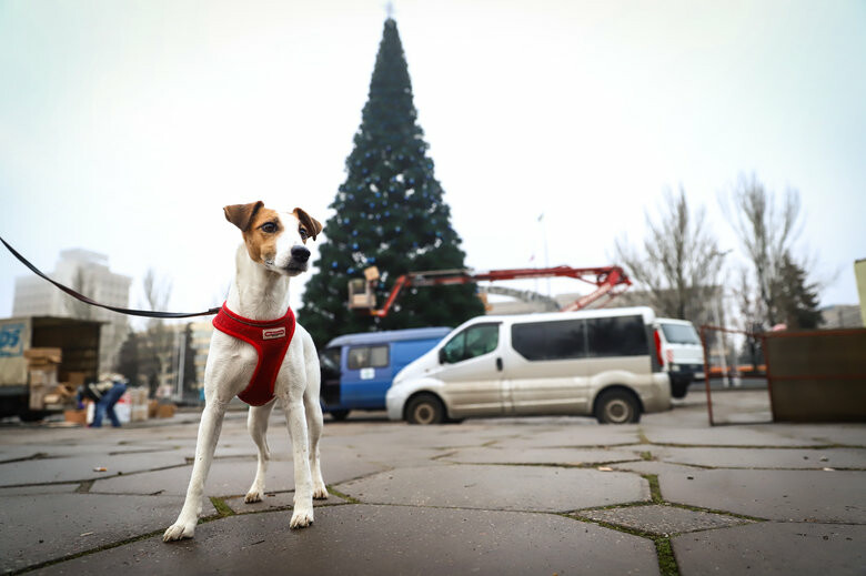  ������ ���������� ������������ �������� 