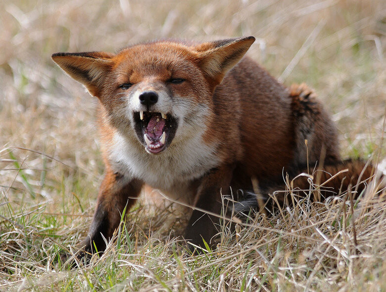  ��������� ������� ���� ������ ������ �������� ���� ����� 