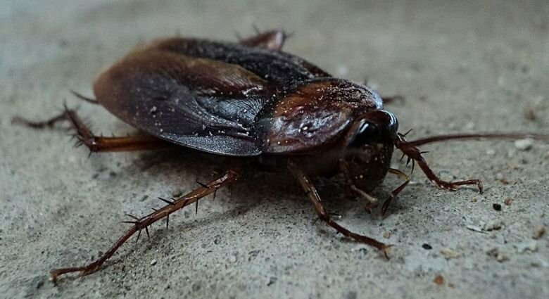  ��������� �������� ������������ ���� ���������� ����� ���������� ��������� 