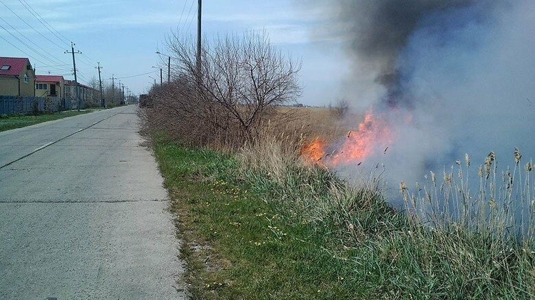  ��������� ������� ���� ��������� ����� 