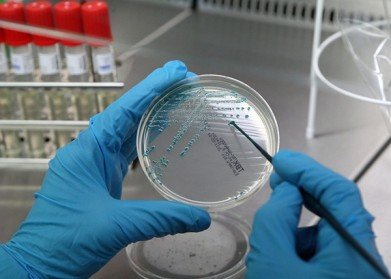  ��������� ������� ������� ������ �������� �������� 