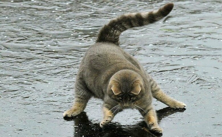  ��������� ������������� ���������� ���������� 