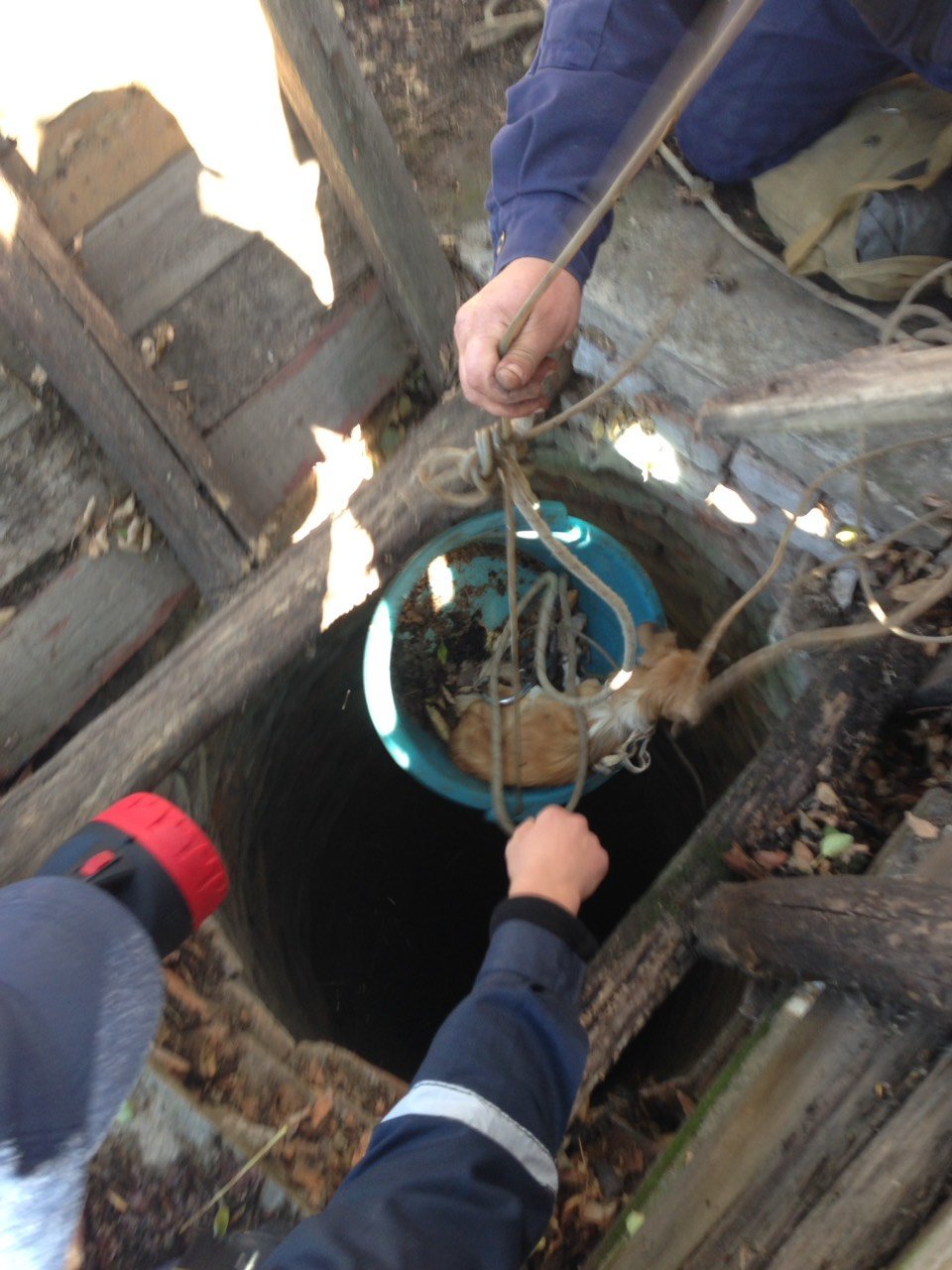  ����������� ��������� �������� �������� ����� 15-��������� ������� ���� 