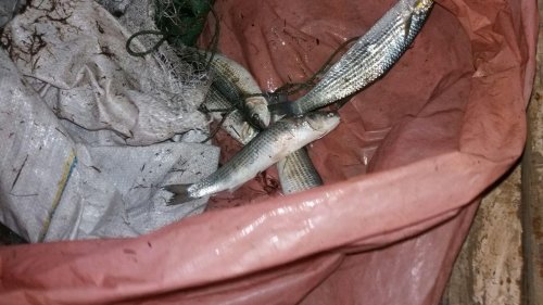 ����: 061.ua