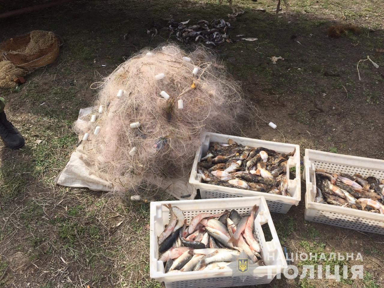 ����: 061.ua