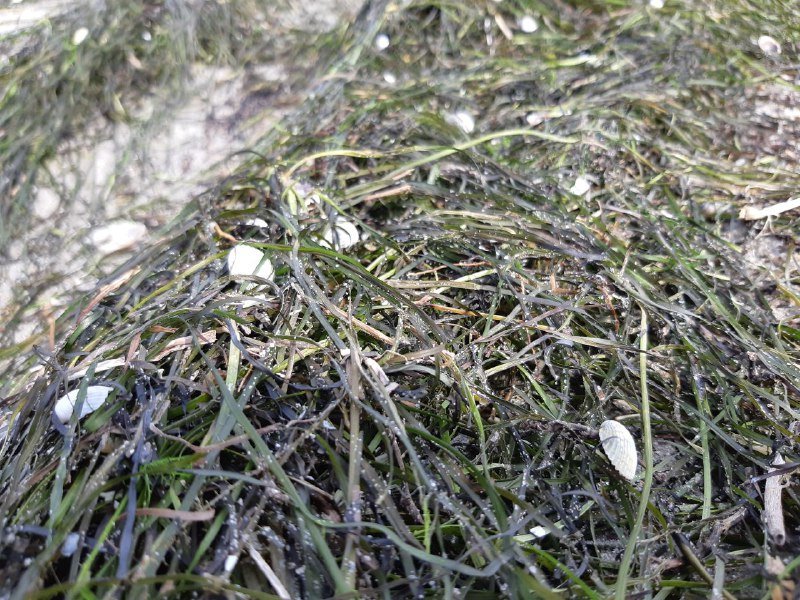  ��������� ������ ������ ��������� ��������� ������������ 