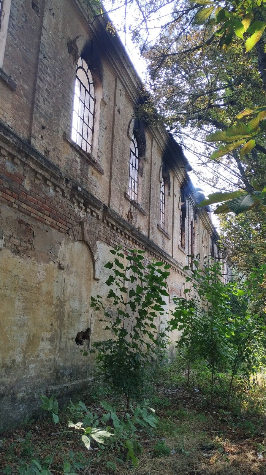  ����������� ������� ������� ������ ������ xix ���� 