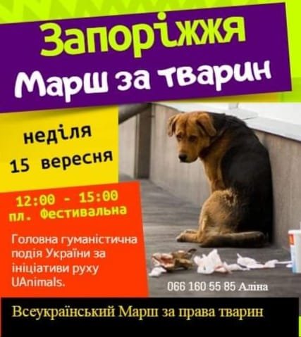  ������ ��������� ������� ���� ����� �������� ��������� ������ 