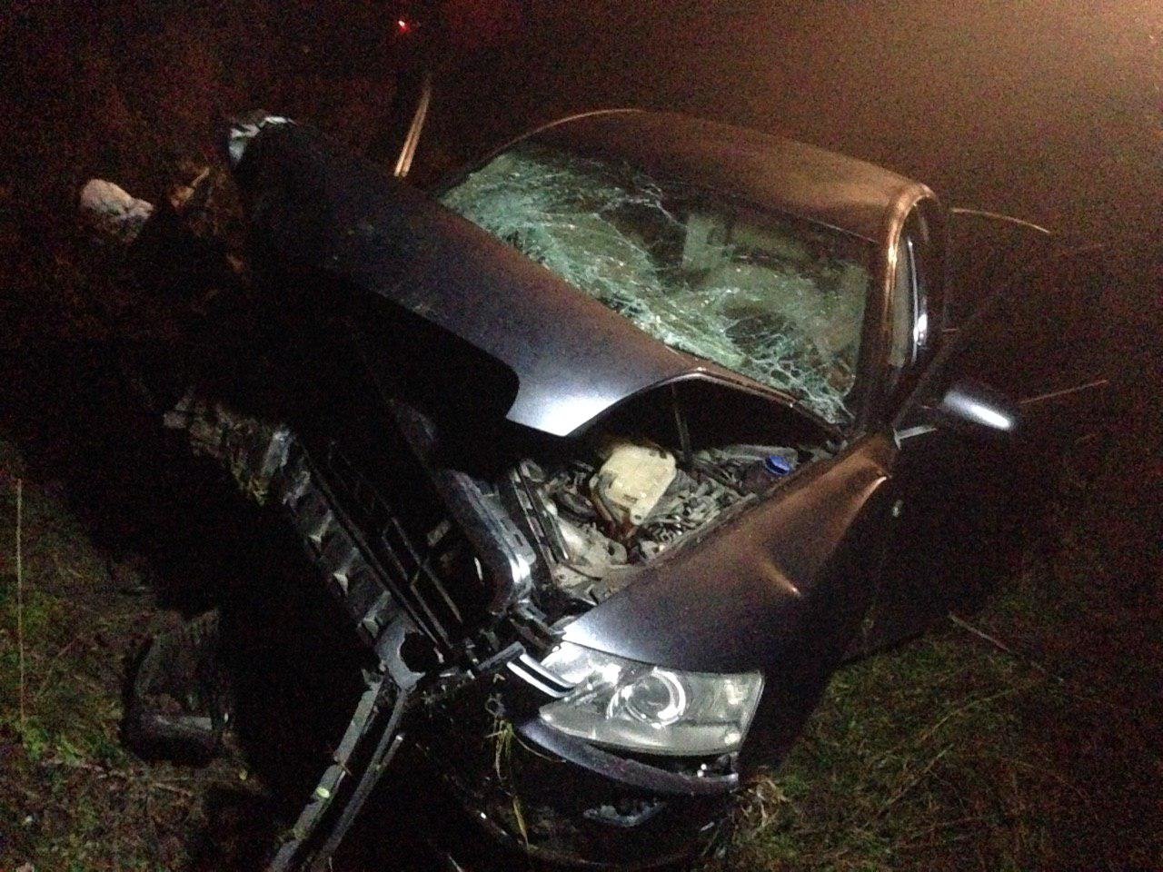  ����������� ������ audi �������� ����� ������������ ����� ���� 