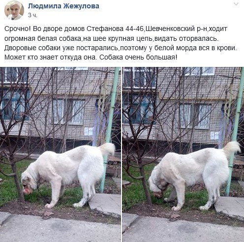  ��������� ���������� ������ �������� ������� ����������� 