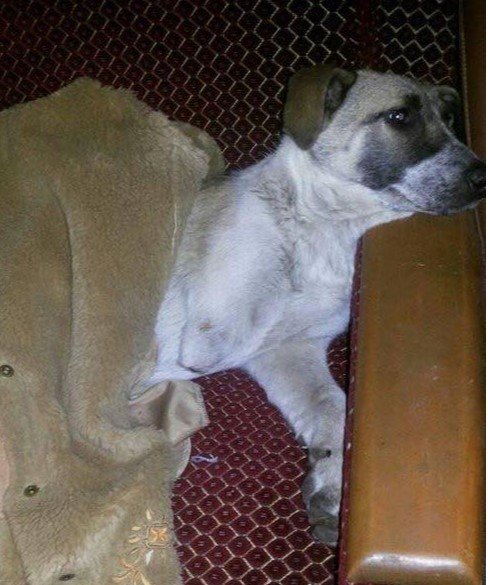  ������� ��������� ������ ��� ���� ����� ����� 