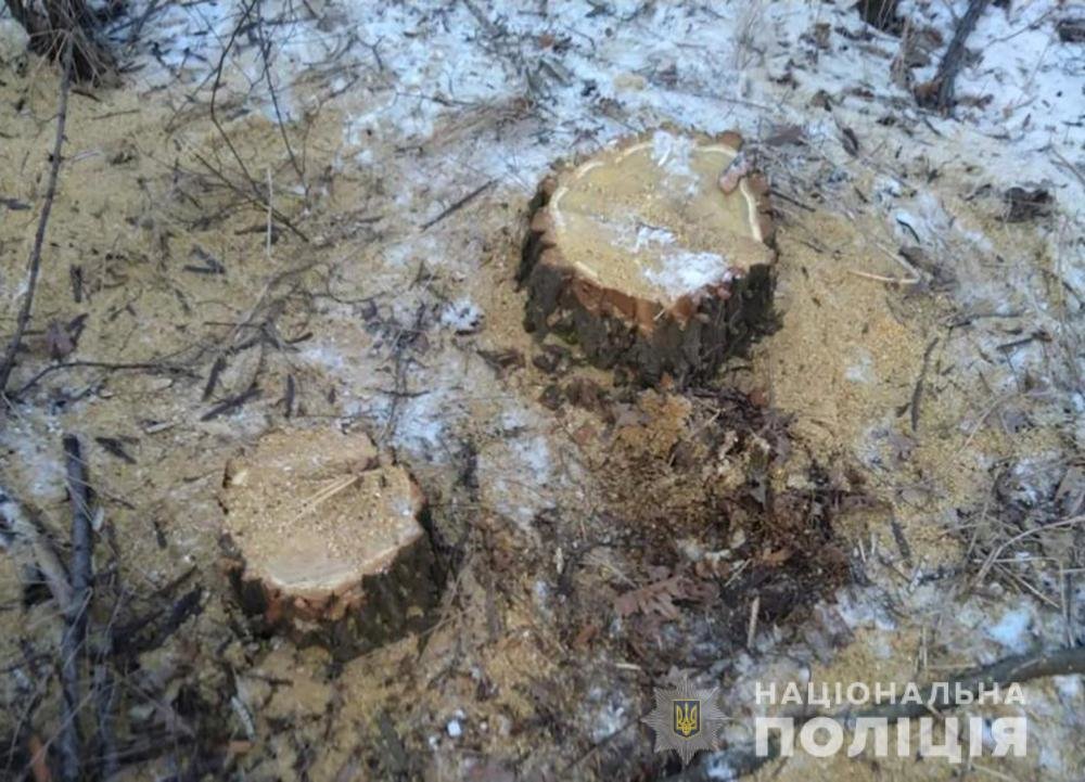  ��������� ������ �������� ������� ���������� 