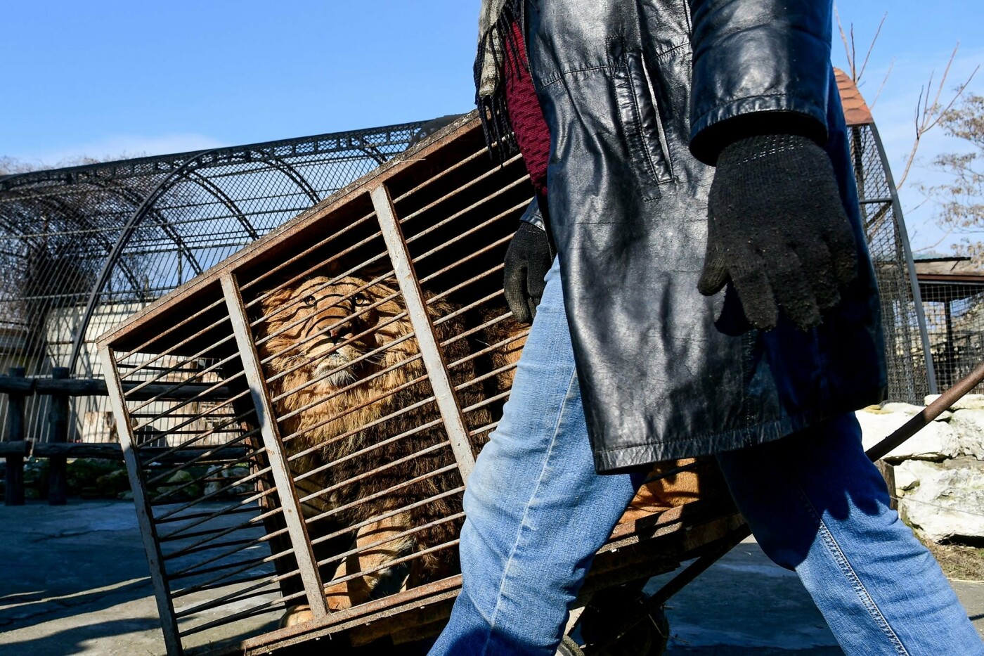  �������� ���������� ������ ���������� ������� ������������ ������� ���� 